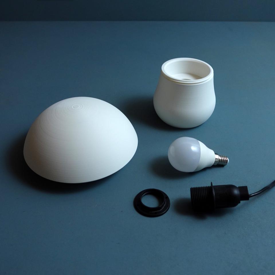 Mushroom lamp “Boletus Edulis” parametric