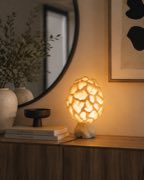 Morchella lamp on console table