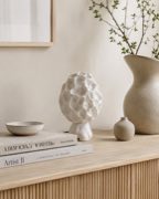 Morchella lamp in daylight decor