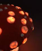 Mushroom lamp “Amanita Muscaria”